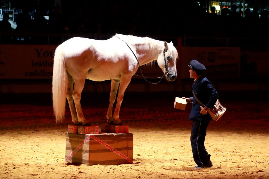 Place d’Été : „La tournée du facteur cheval“ Compagnie Andjaï