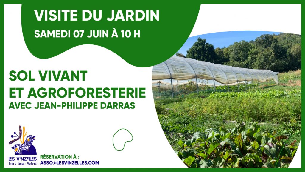 Visite du jardin : sol vivant et agroforesterie