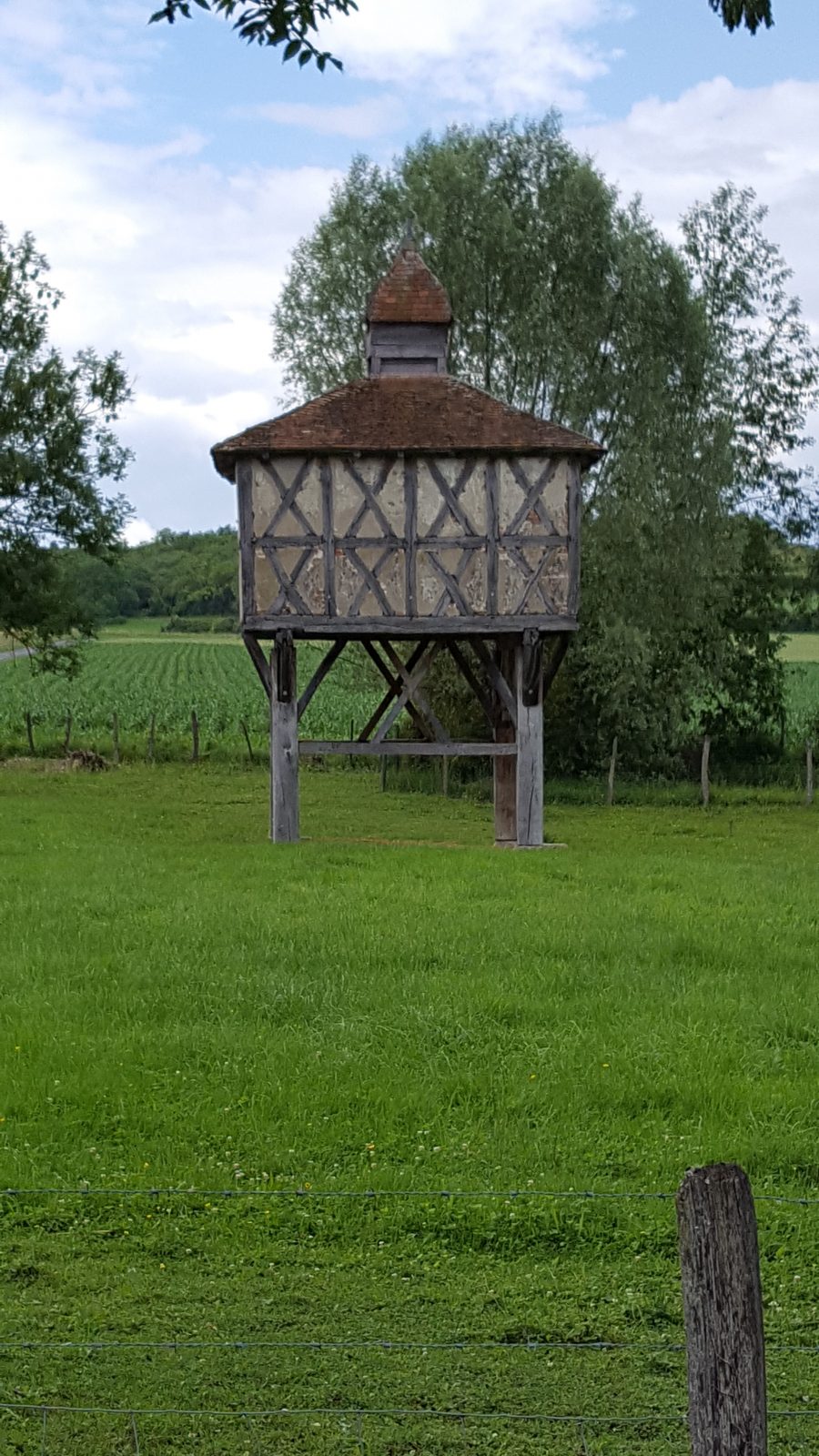 Sur les traces d’Adélaïde d’Orléans