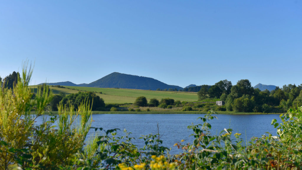 Pond Étang Grand in Pulvérières