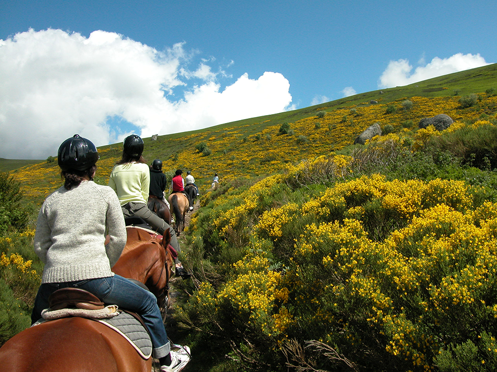 Horseback riding