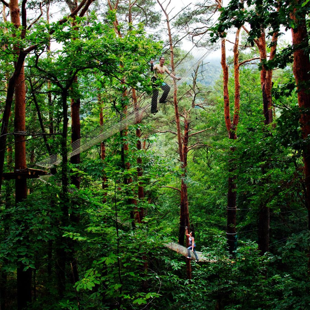 Treetop adventure course at Parc Écureuil in Châtel-Guyon