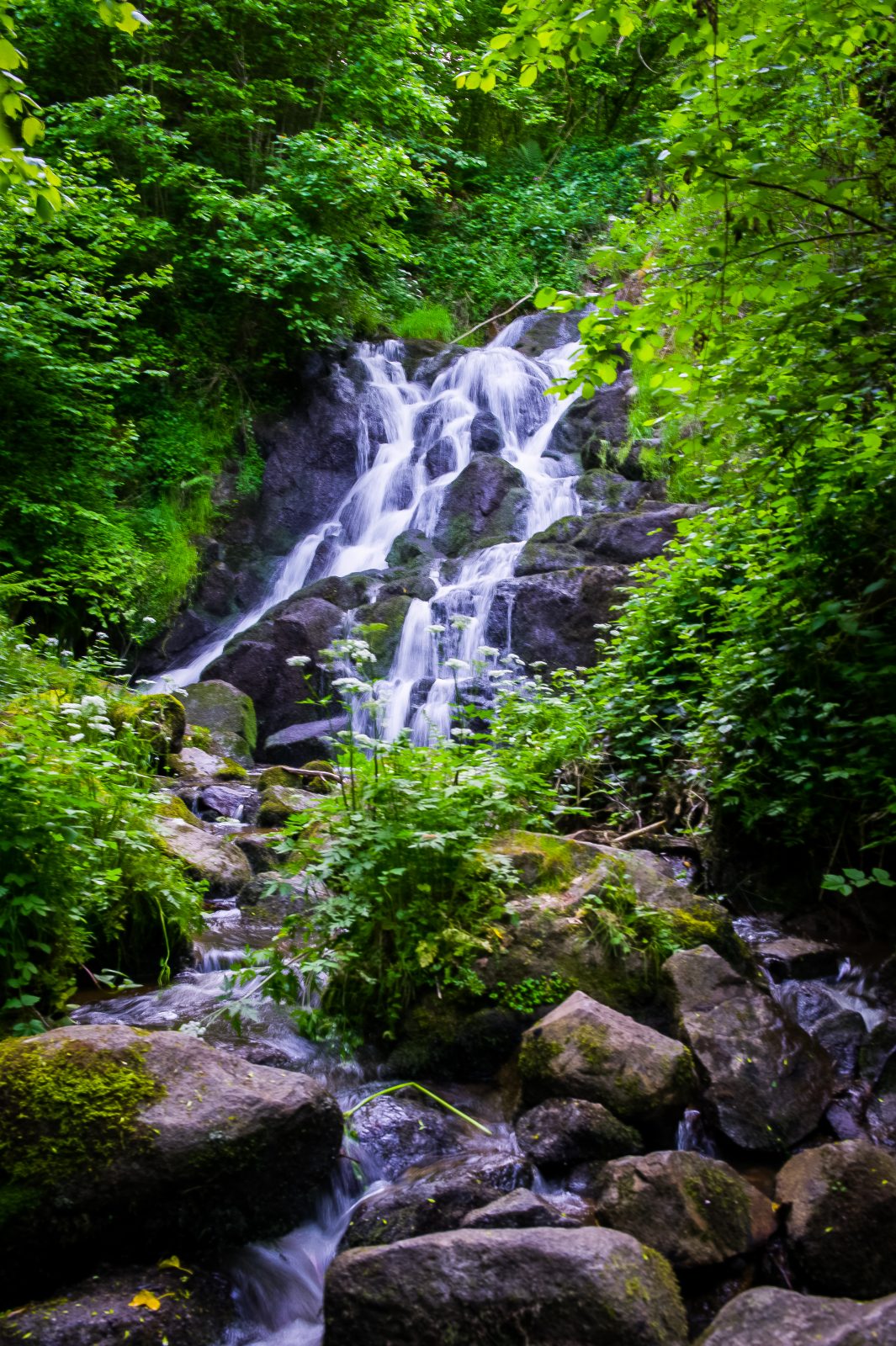 La vallée du Sans-Souci