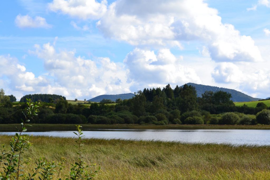Une journée à l’étang – Chantier participatif à l’Etang grand !