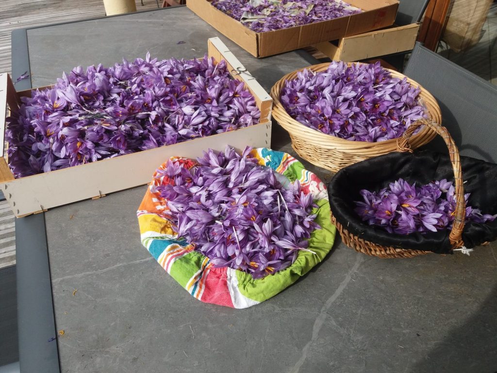 28265448-diaporama