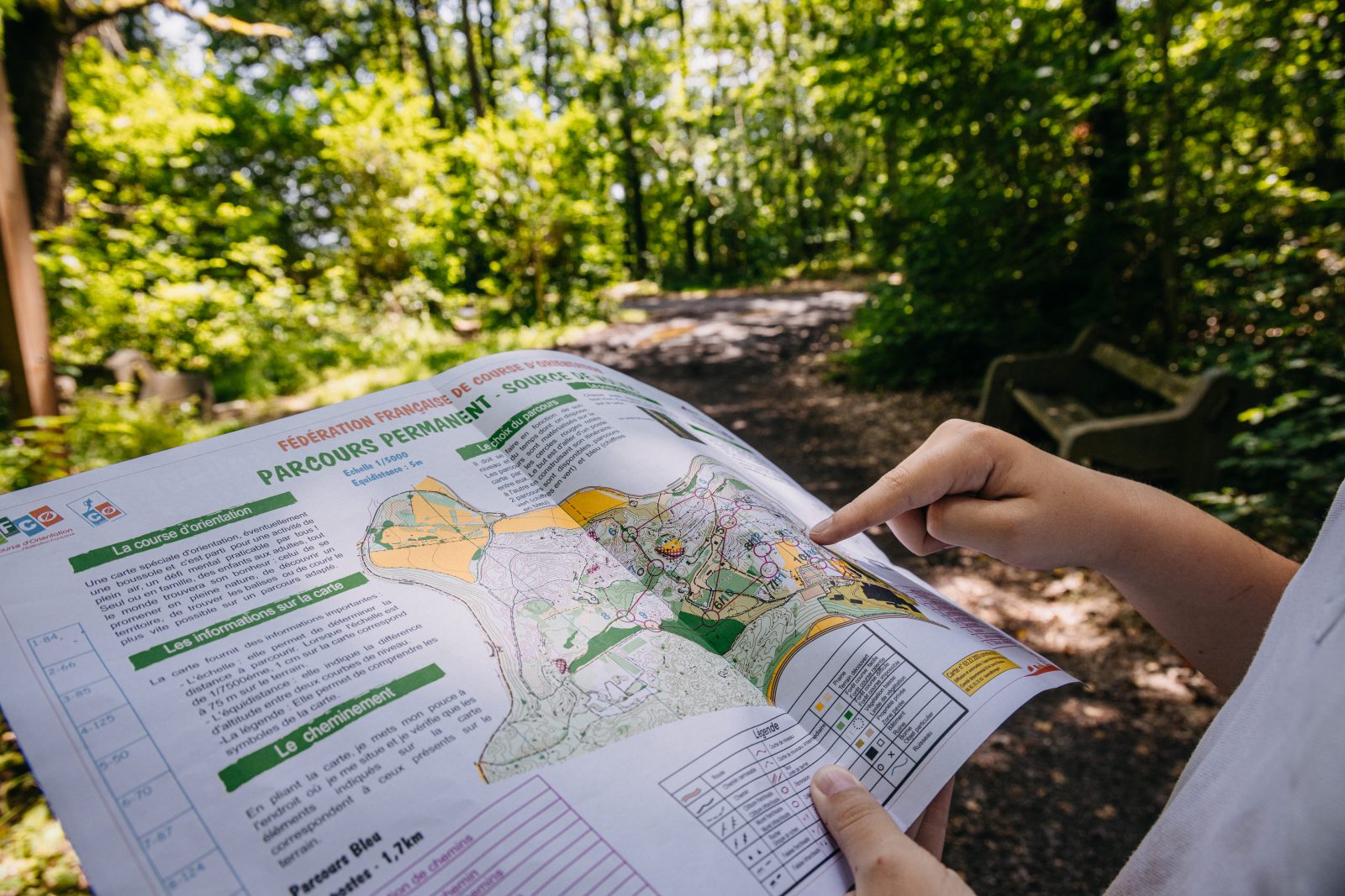 Educational path