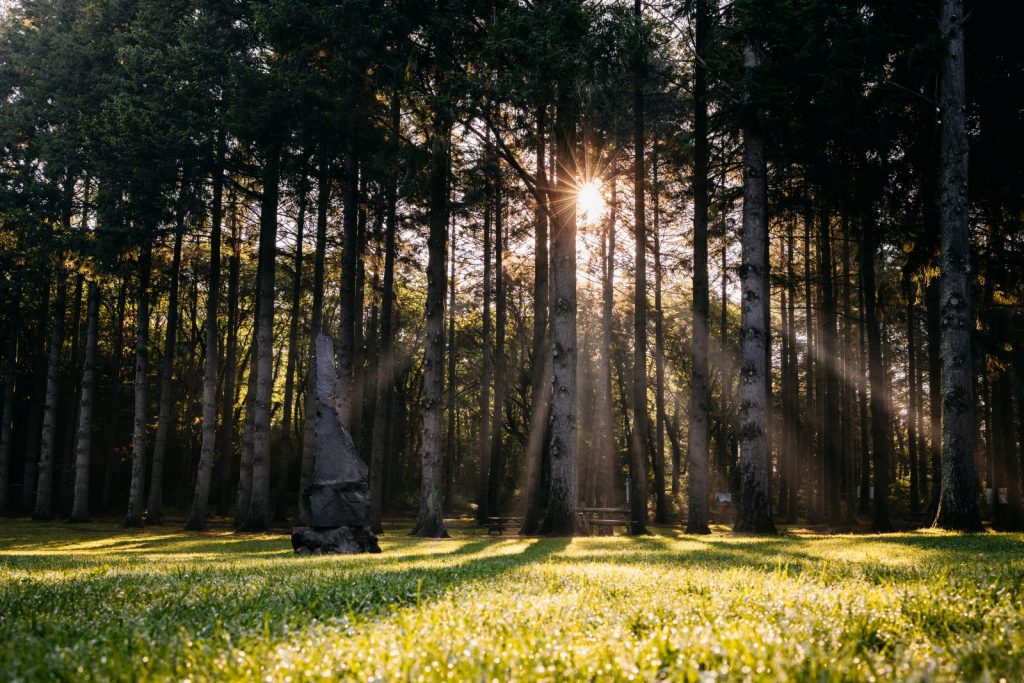 Source Volvic Park_Volvic