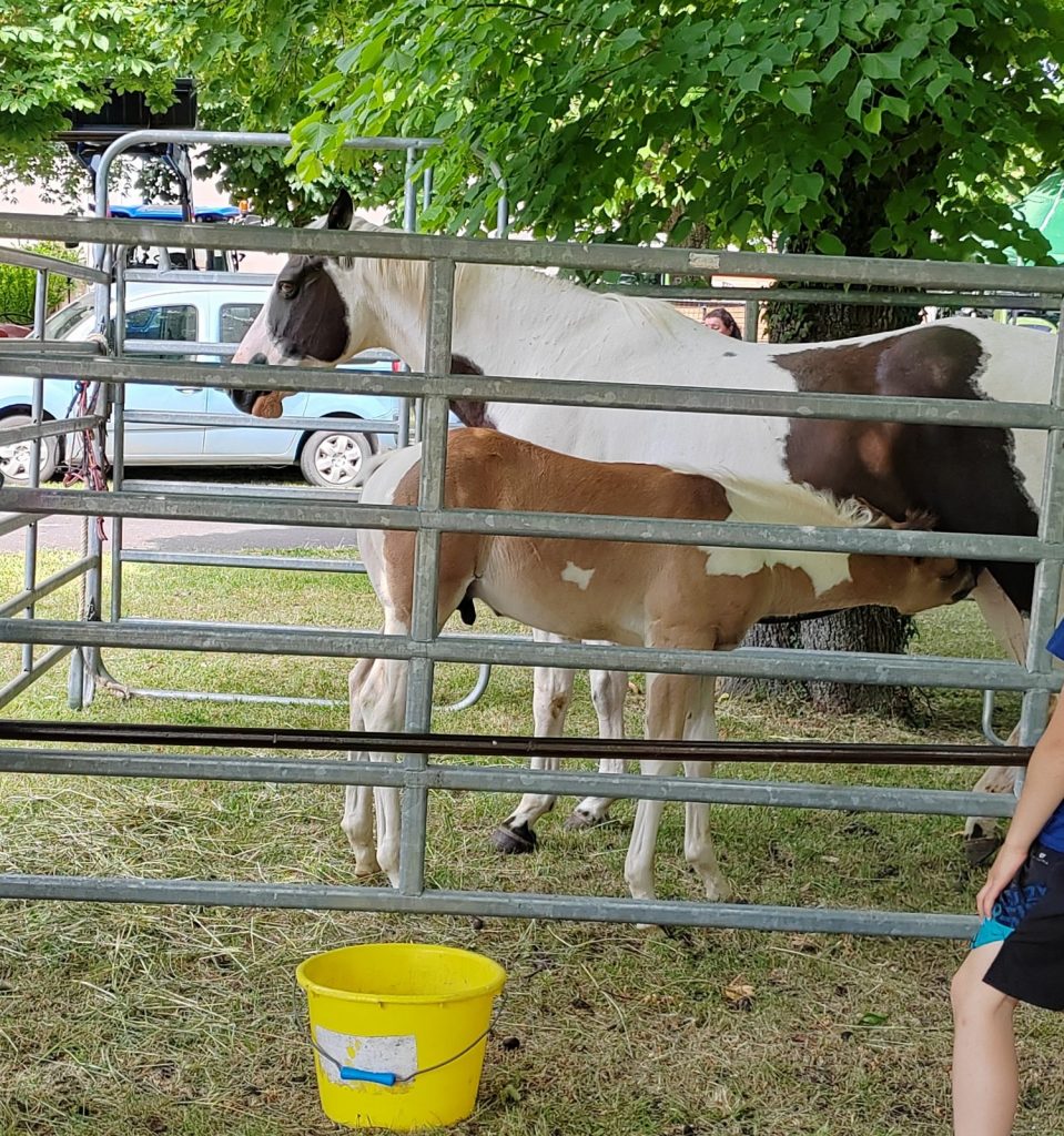 Journée de l’agriculture
