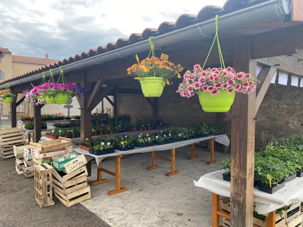 Marché aux plants et Fleurs