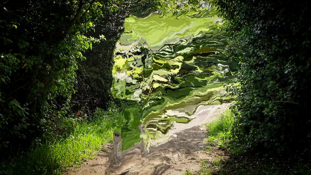 Le festival des Aventuriales – Portail transflow