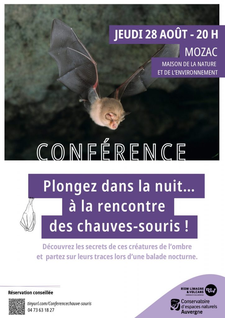 Conférence : Plongez dans la nuit… à la rencontre des chauves-souris !