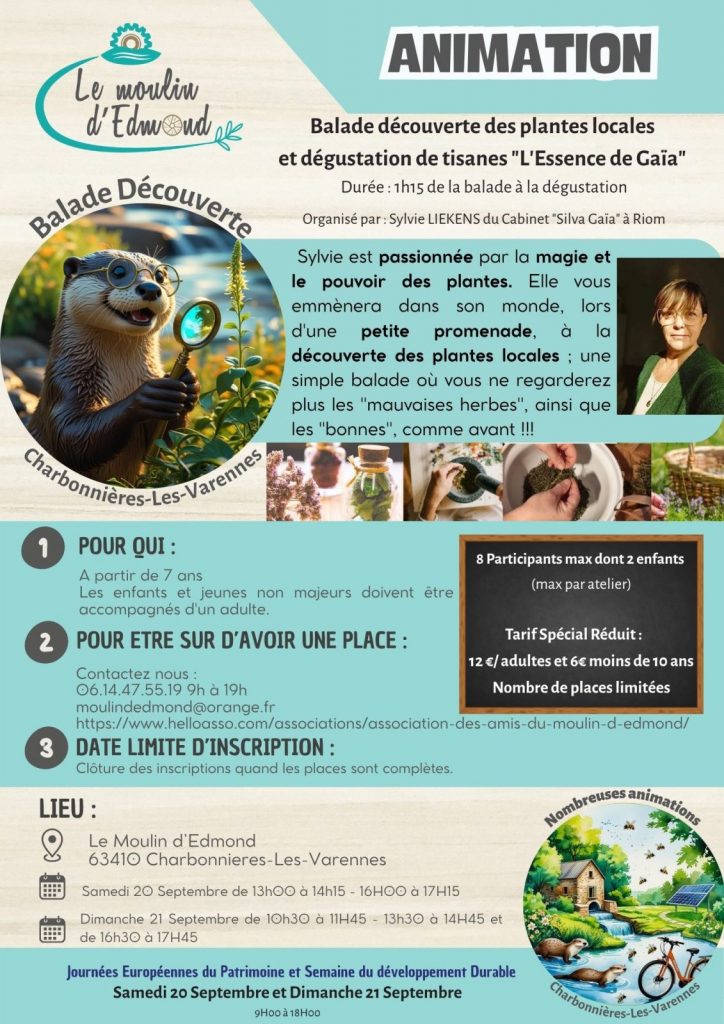 Balade découverte des plantes locales et dégustation de tisanes “L’Essence de Gaïa”  – Le moulin d’Edmond