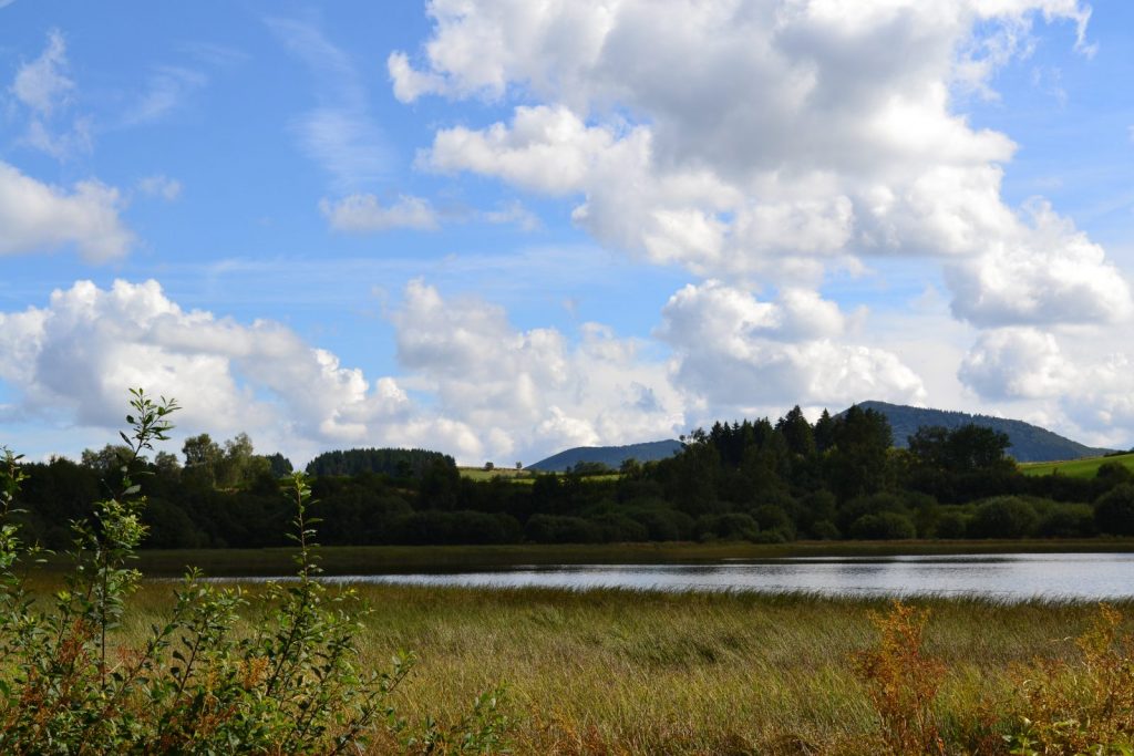 Balade hivernale à l’Etang grand