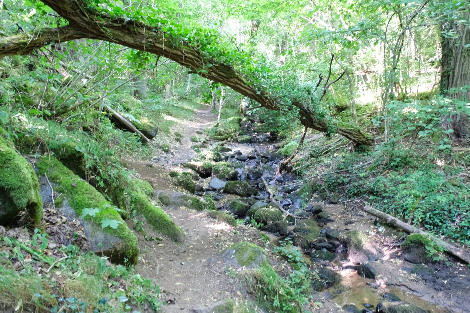 Le sentier de l’APAGE