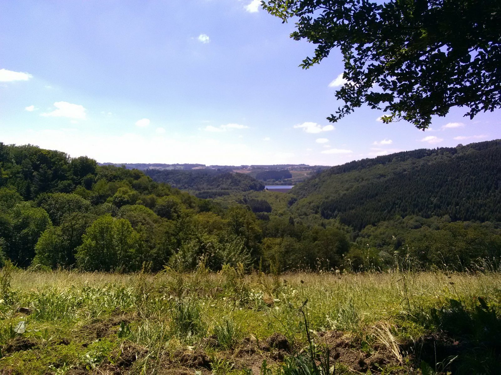 La Belle Volcanique