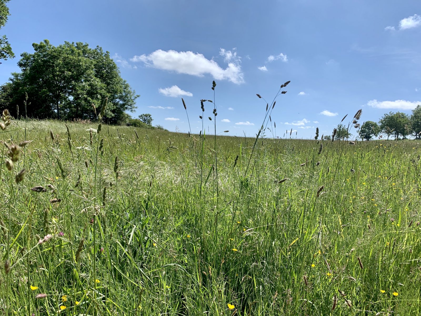 Sentier de l’impluvium de Volvic