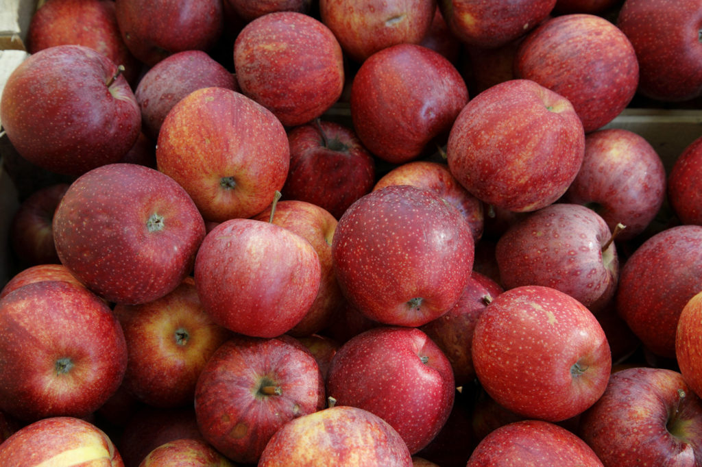 les pommes au marché