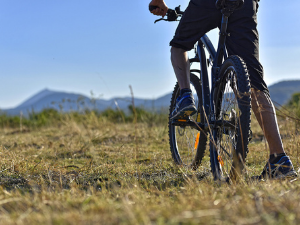 VTT à Viallard