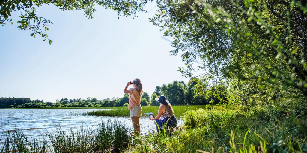 Etang Grand à Pulvérières