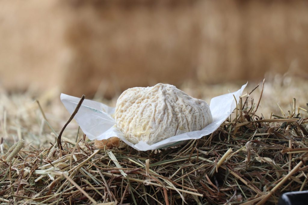 Maringuois de la Ferme de Patricia Ribier à Luzillat