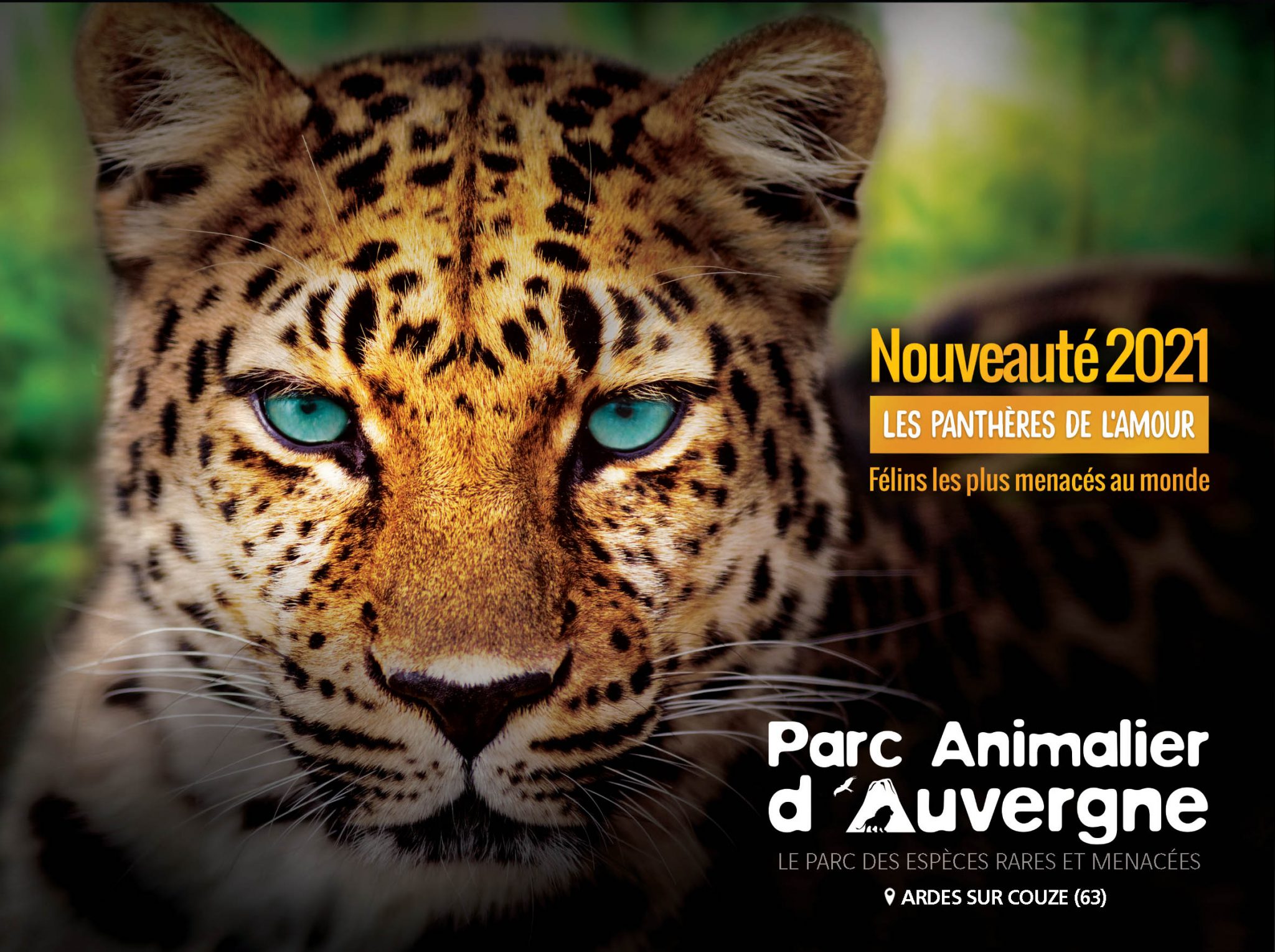 Parc animalier d'Auvergne à Ardes-sur-Couze