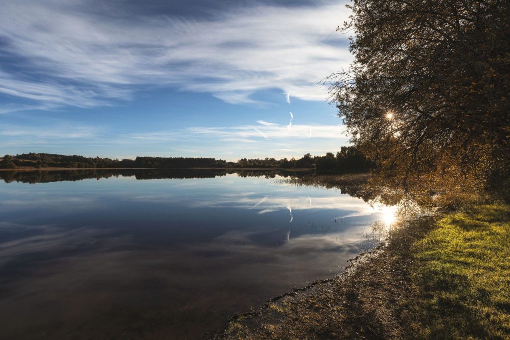 Etang Grand à Pulvérières