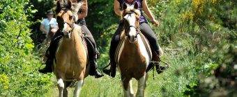 Equitation