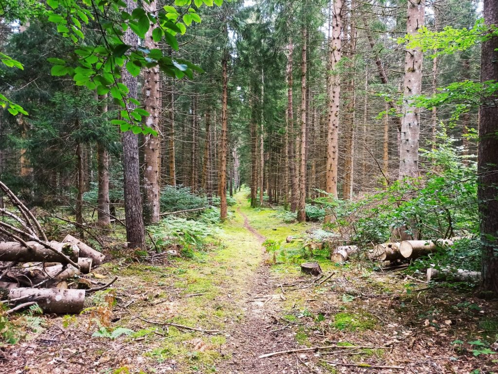 Randonnée VTT Le Puy de la Nugère