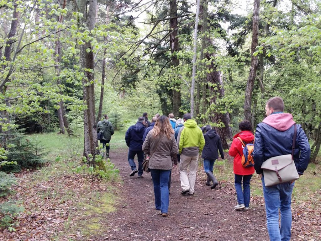 Sortie en forêt avec Kévin Conilh