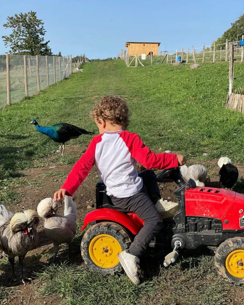 Ferme pédagogique et balade avec un âne