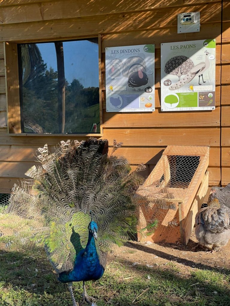 Ferme pédagogique – La Ferme de la Marinette