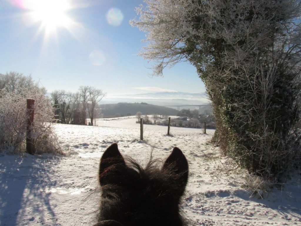 Balade à cheval – La Ferme de la Marinette