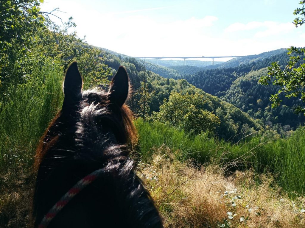 Balade à cheval – La Ferme de la Marinette