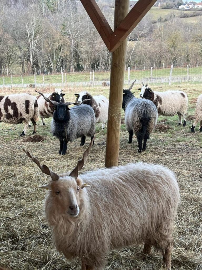 La Ferme de la Marinette – Ferme pédagogique