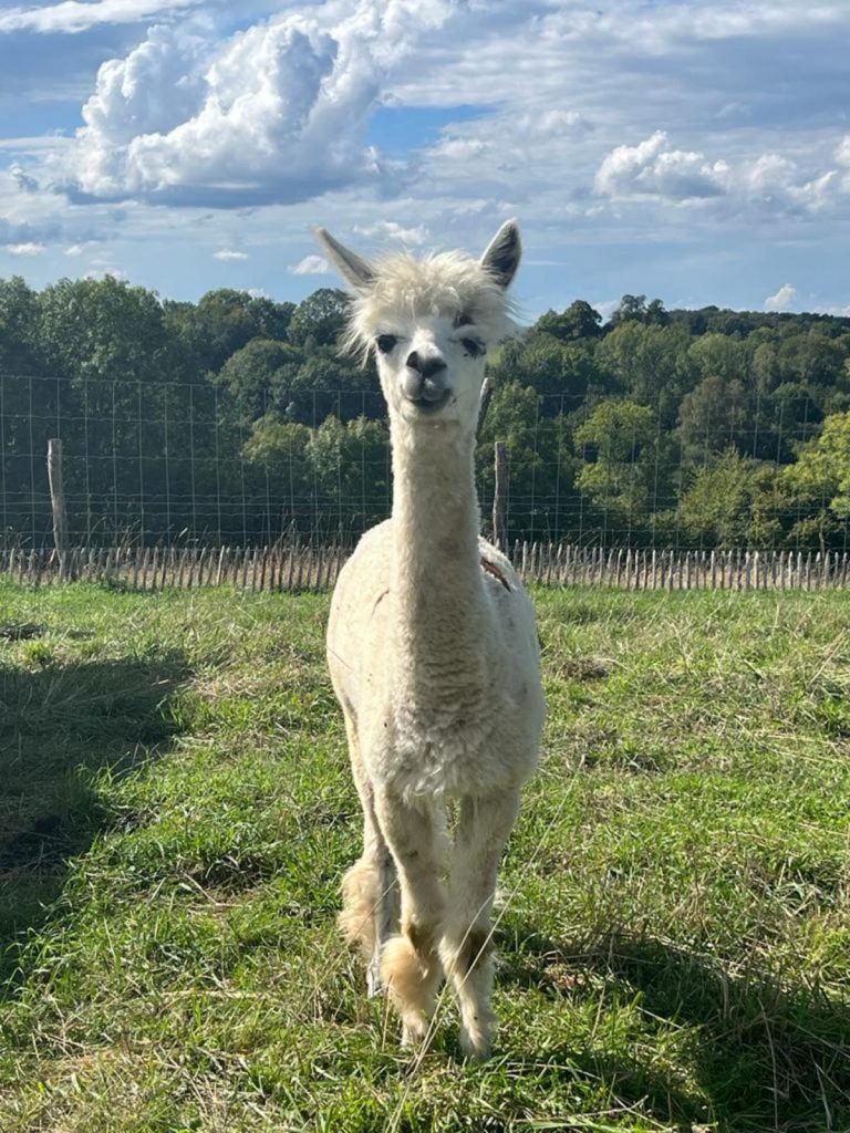 La Ferme de la Marinette – Ferme pédagogique