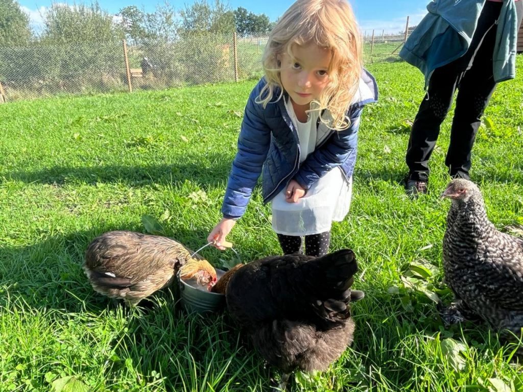 La Ferme de la Marinette – Ferme pédagogique