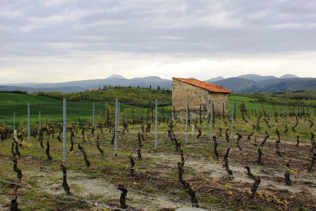 Village – Saint-Bonnet-Près-Riom – Le Gamounet