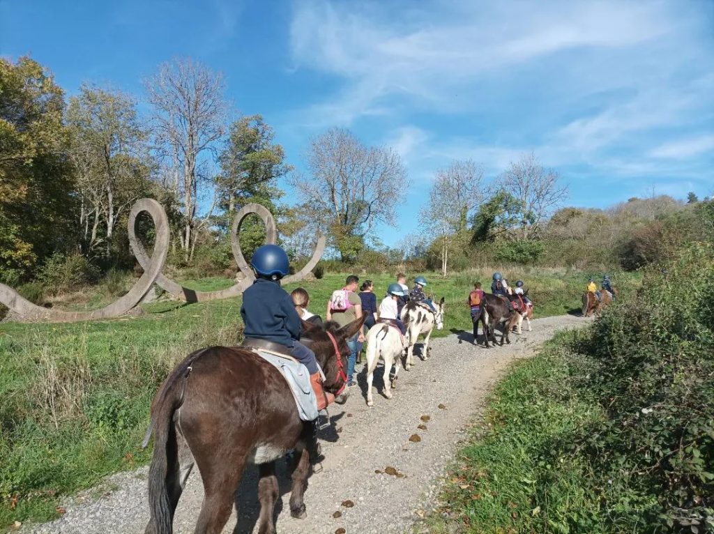 La ferme de la Marinette – balade âne/poney