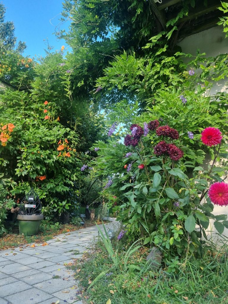 20230726_083341.jpg