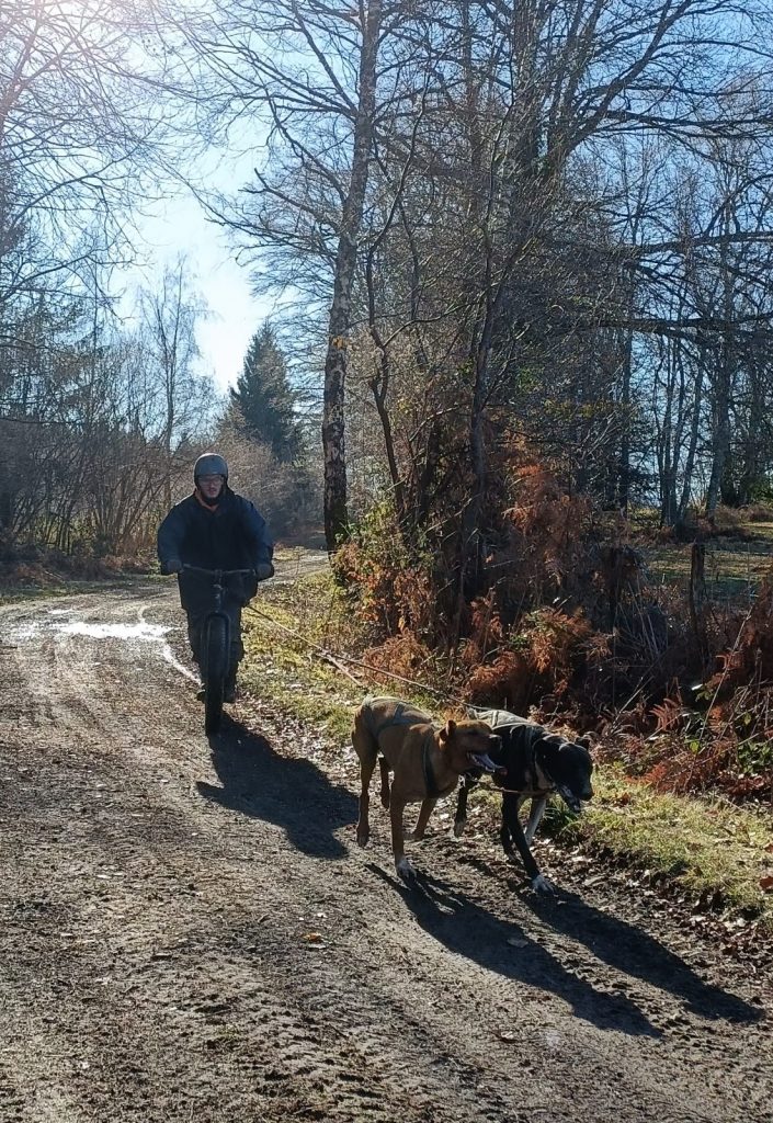 Cani-trottinette à Bromont-Lamothe
