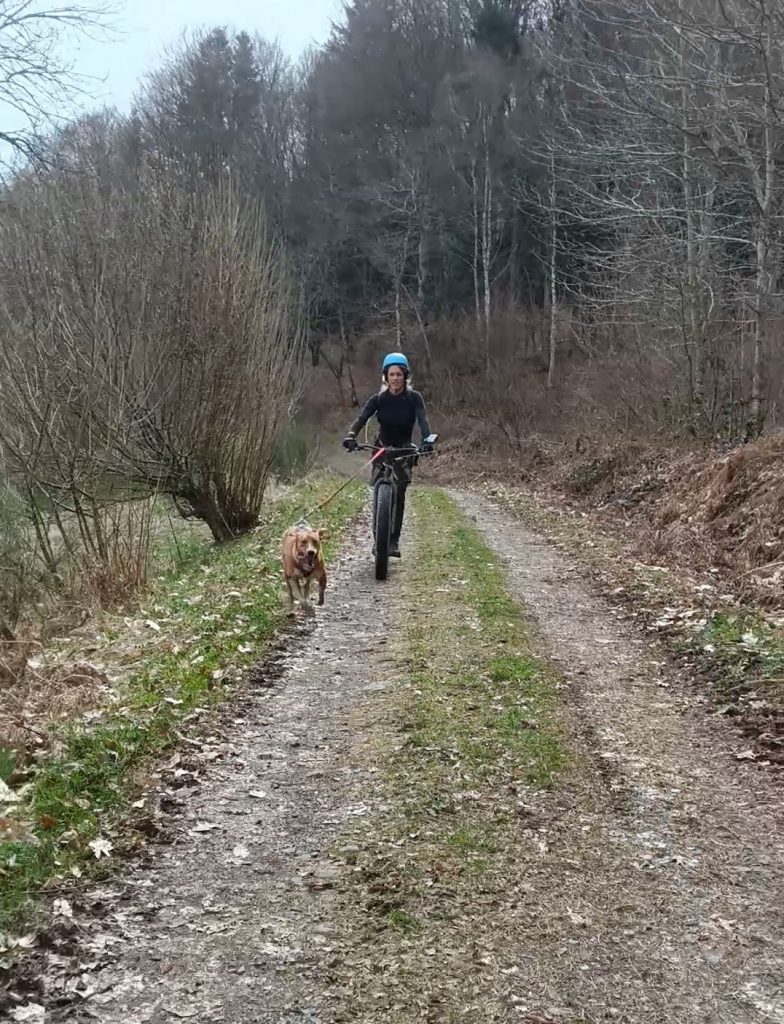 Cani-trottinette à Bromont-Lamothe
