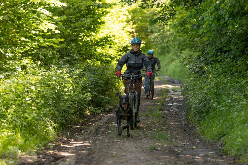 Cani-trottinette à Bromont-Lamothe