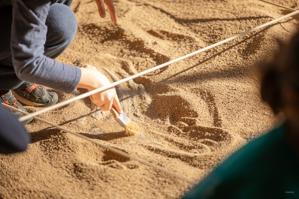 Paléopolis, la colline aux dinosaures_Gannat