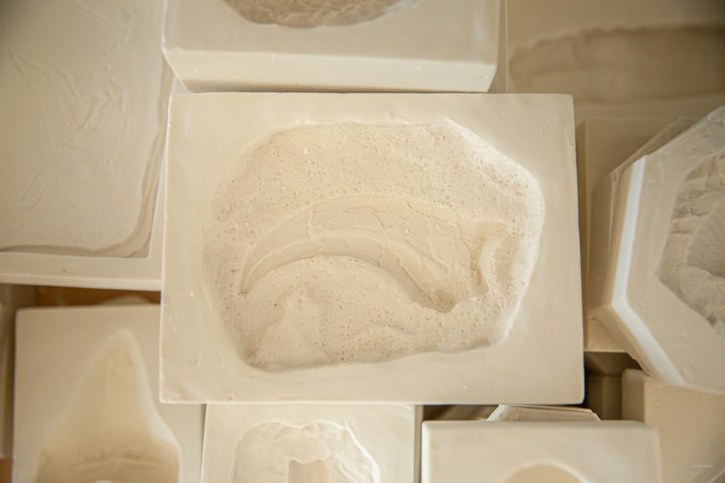 Paléopolis, la colline aux dinosaures_Gannat