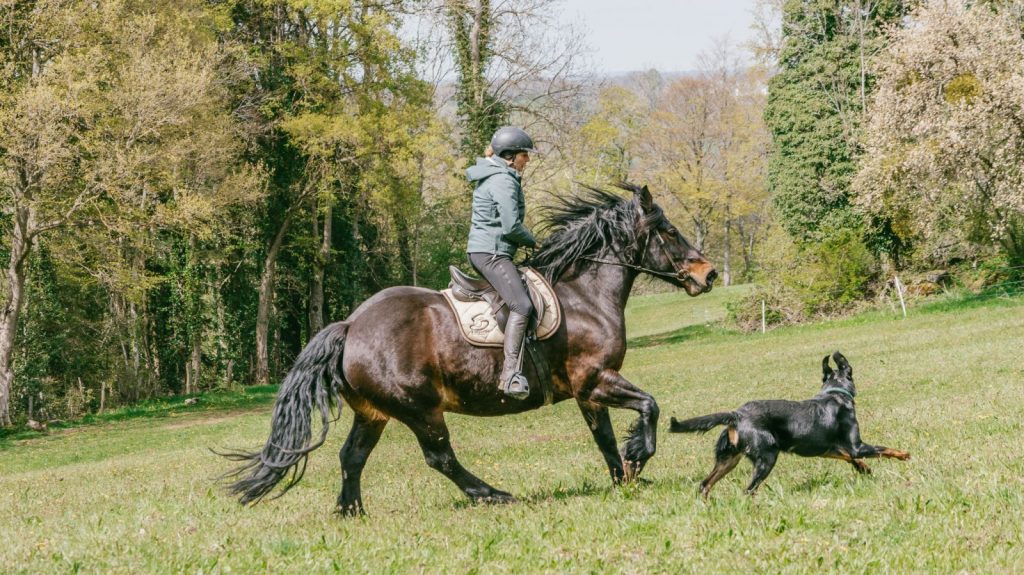 balade à cheval
