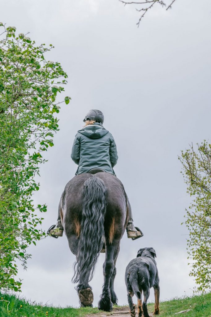 balade à cheval