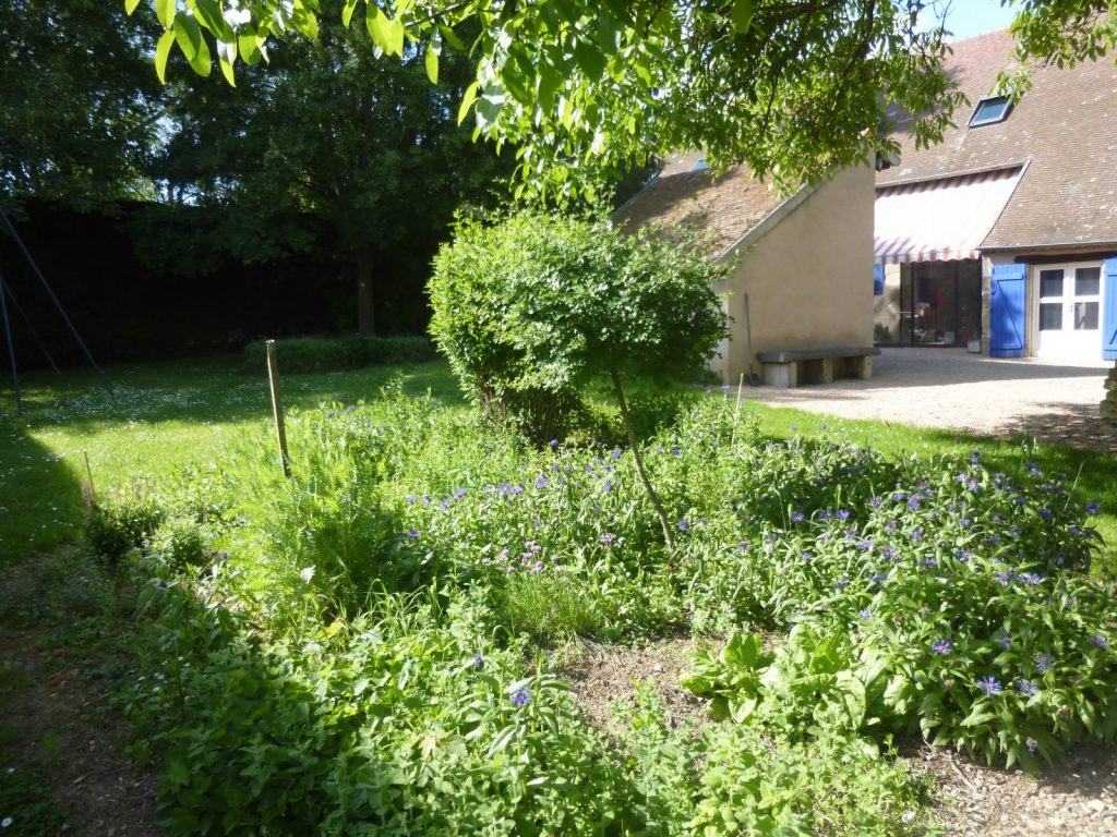 Chambres d’hôtes La Maison de Barbara à Effiat