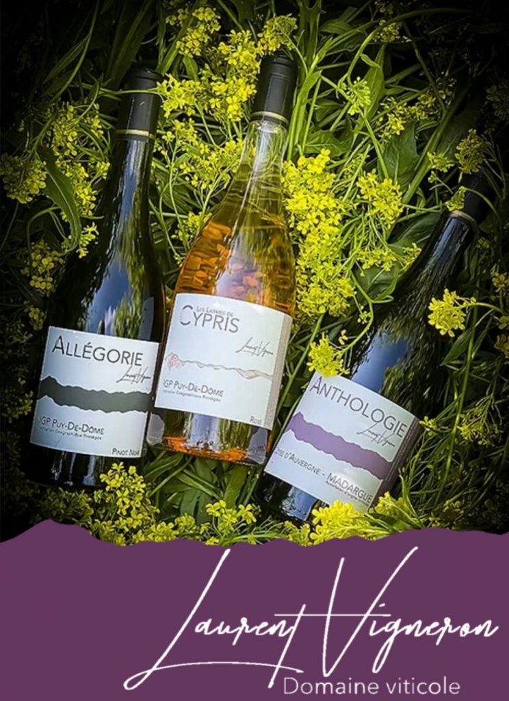 Les cuvées du domaine