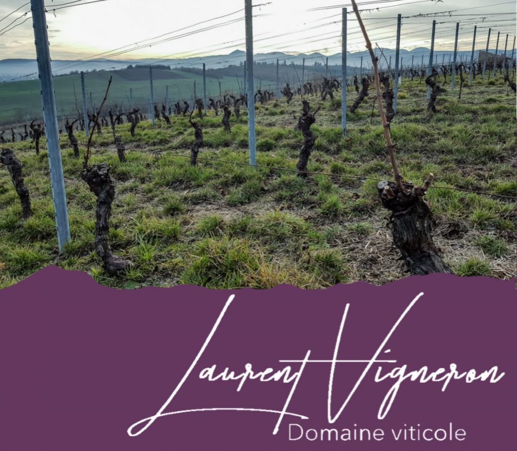 L’hiver dans les vignes de Madargue