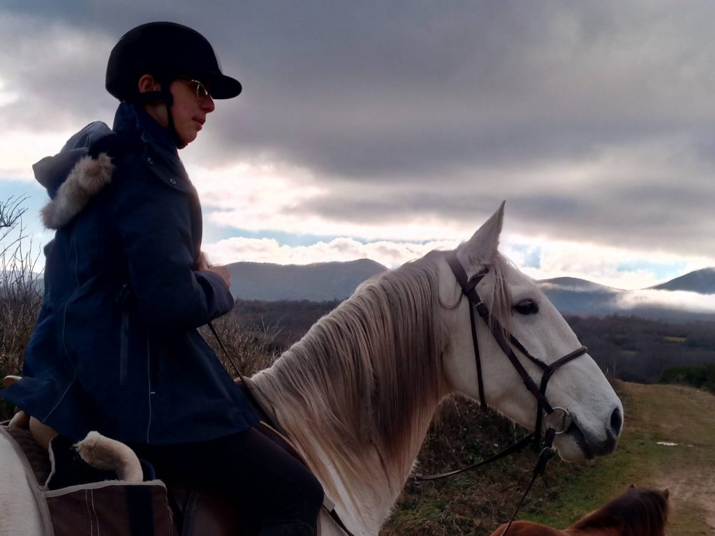 Les chevaux des bisettes